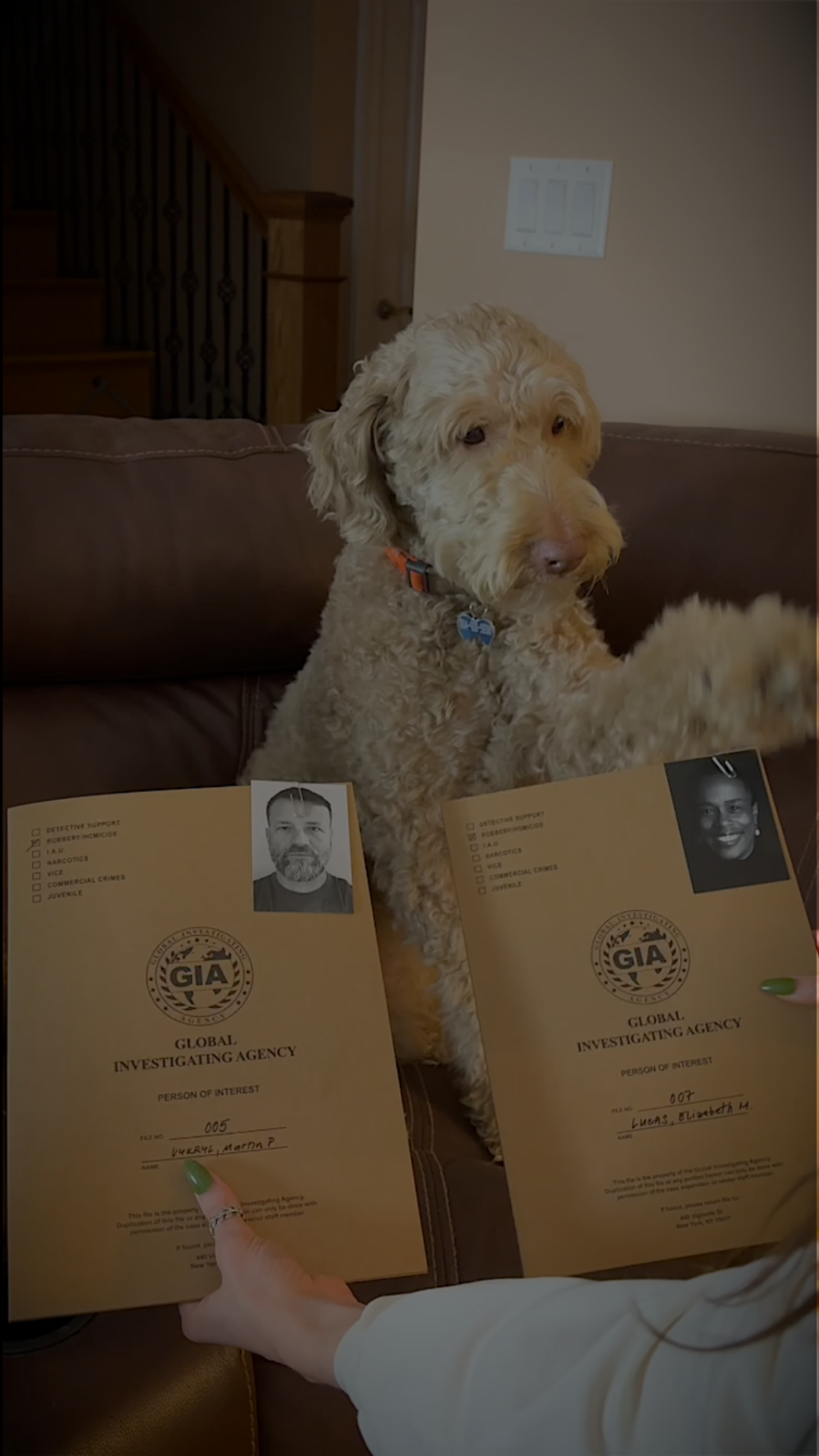 Load video: See it in action